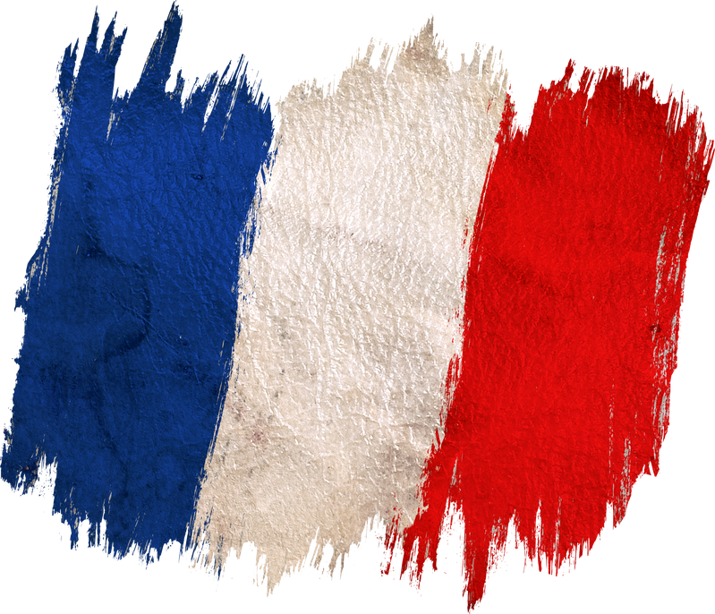 Vintage France Flag.